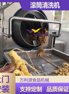 连续式滚筒清洗机胡萝卜土豆生姜清洗去皮机不锈钢滚筒清洗设备