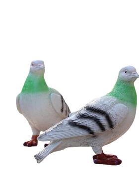 创意新款仿真鸽子摆件花园装饰品庭院户外阳台走廊装饰品厂家直销
