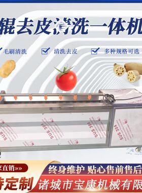 毛辊去皮清洗机全自动芋头土豆清洗去皮机红薯干加工红薯洗泥机
