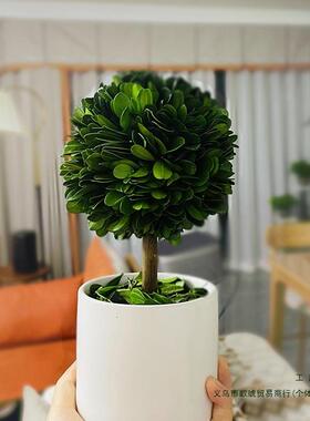 办公室工位桌面绿植上班情绪稳定客厅旺宅植物小摆件家居装饰