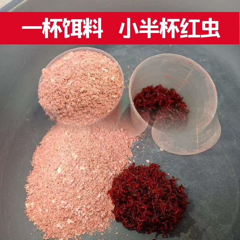 新款鱼饵肉加馍饵料拉红虫拉虾肉冬季鲫肉夹馍伴侣饵料工厂-图2