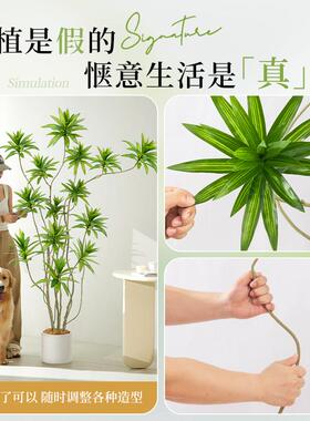 彷真绿色植物百合竹高端轻奢大型彷生假绿植禄氛围树室内客厅装饰
