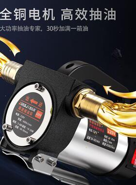 电动抽油泵12v24v通用220v柴油泵小型抽油机自吸泵加油加油机