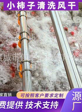 供应鼓泡式腌黄瓜脱盐清洗机不锈钢洗菜机海产品气泡清洗机厂家