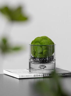 YB-DZ-HY左璃顾现代板轻奢样间床头柜玻苔藓小花器桌绿植软装面饰