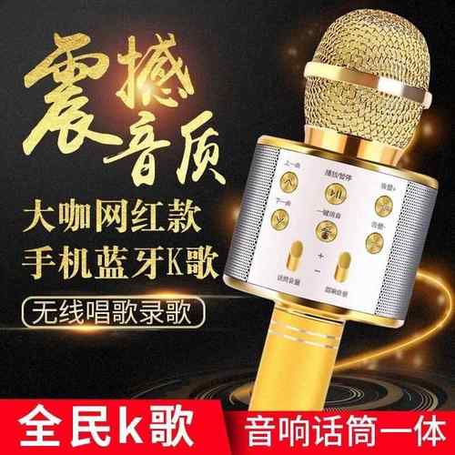 外贸WS858手机麦克风 无线蓝牙话筒k12歌手机麦克风蓝牙音响k歌宝 - 图0