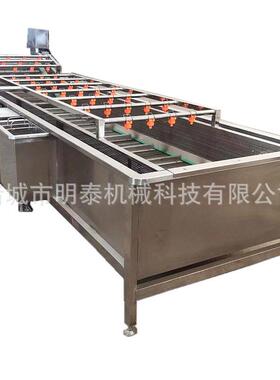 全自动泡果蔬气清机桃子苹葡果萄鼓泡洗MAGA-102果机辣椒韭菜洗洗