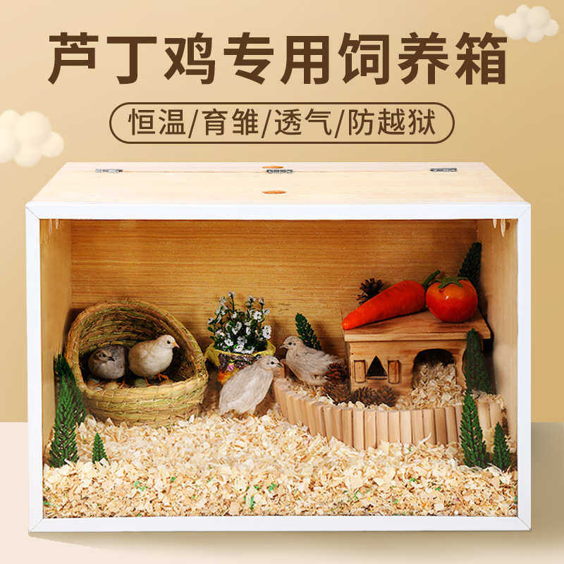 yee芦丁鸡笼子木箱恒温鸡笼子仓鼠金丝熊饲养繁殖箱鸡育雏室用品,淘宝优惠券,粉丝福利购,淘宝优惠卷