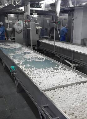 肉丸成型机流水线 鸡脯丸子全套加工设备 羊肉机器304不锈钢