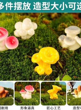 苔藓微景观创意简约仿真小蘑菇 多肉园艺造景装饰品配件小摆件