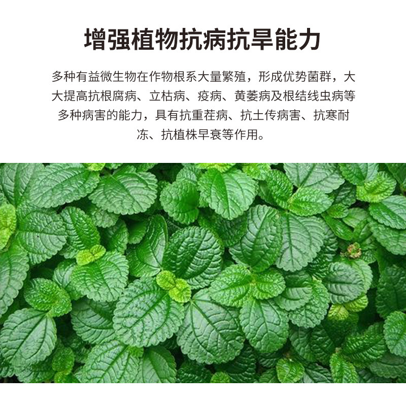 新款菌动力微生物菌肥有机肥料花卉蔬菜瓜果盆栽生根防板结通用肥 - 图3