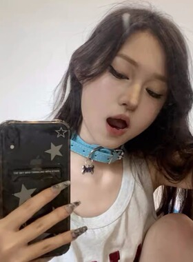 现货速发蓝色狗骨头项圈