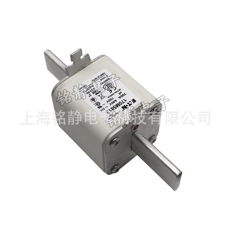 170M4866D170DM486器7D1701M584巴斯曼熔断现货170M58SOW15D - 图3