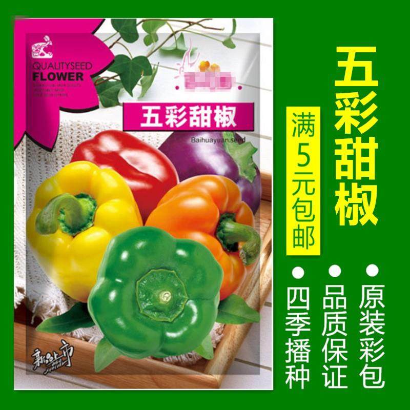 黄菇娘果芦笋薄荷地中海根芹辣椒生冰菜籽盆栽番茄菜蔬菜种子孑土,淘宝优惠券,粉丝福利购,淘宝优惠卷