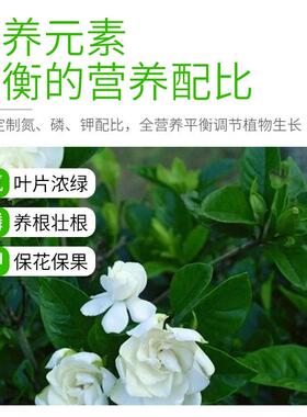 栀子花园艺花肥养花专用肥植物盆栽有机肥花卉绿植缓释肥