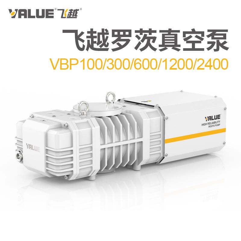 罗茨真空泵VBP100/300/600/1200/2400罗茨泵机组系统 - 图2