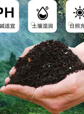 营养土通用型种菜养花专用盆栽土壤花卉种植土种花花土多肉土泥土
