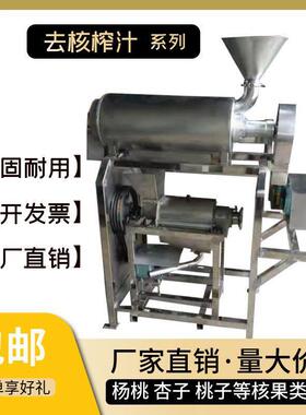 果蔬破碎榨汁机 苹果粉碎浆渣汁分离机 小型果汁打汁机