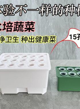 水培种植专用箱家庭种植多样化阳光水培器皿室内无公害水培种植