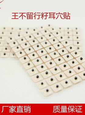 耳穴贴 王不留行籽贴 耳豆贴 王不留型按摩贴 王不留行耳贴