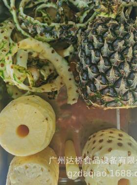 广州达桥原创工业型智能菠萝自动削皮机去皮机刨皮机去芯耦联机