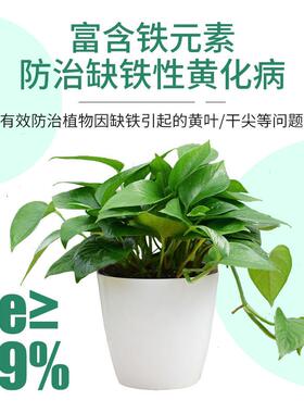 艾尚棵硫酸亚铁肥料花卉专用花用酸性肥料土壤调理盆栽植物用花肥