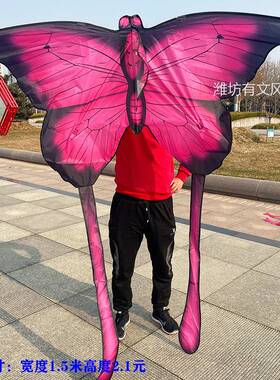 新款长尾蝴蝶风筝大全风筝四色3D儿童成人大风筝三角高档拼接
