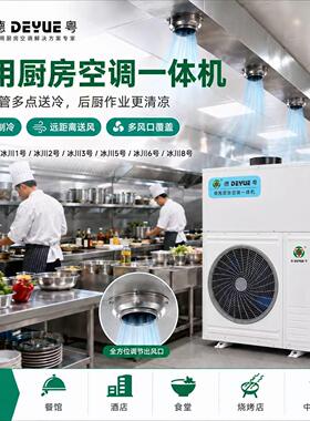 德粤厨房空调外循环一体机防油污工位精准降温