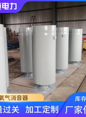 氧气消音器大型工业消声器高压排气风机蒸汽管道消音器氧气消音器