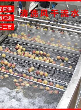 大型商用果蔬气泡清洗机柑橘压气泡清洗机械设备多用途蔬菜清洗