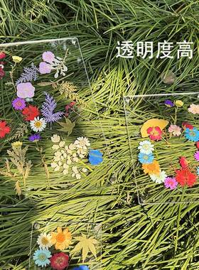 压克力透明写真相框压克力干燥花diy材料包植物标本摆台手工制作