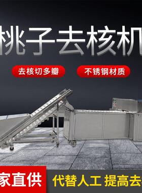 大型半自动万顷隆牌桃子去核机 桃子去核切瓣一体机