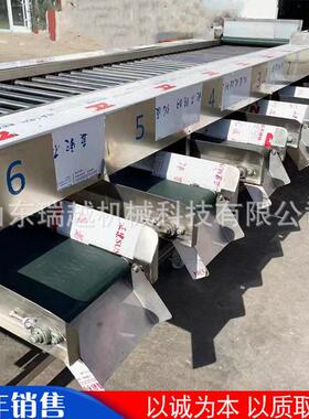 洋葱酸黄瓜分级筛选机商用黄桃苹果分级机大型沃柑滚杠式筛选机