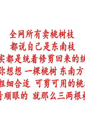 100%正东南老桃木段桃木棍桃树枝桃木枝五色绳随身婴儿真桃木挂件