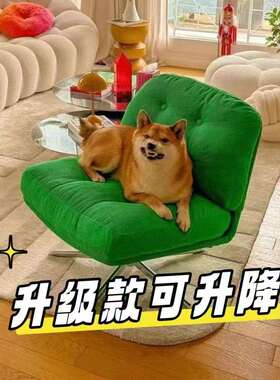 杜威沙发椅林格旋转单人休闲椅客厅阳台小户型设计师中古椅子