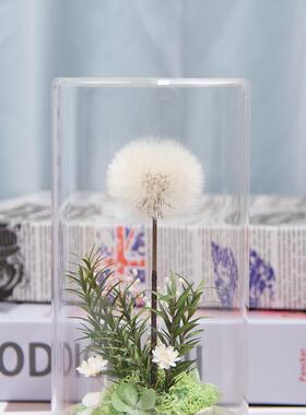 蒲公英植物标本干 干燥花束女生日礼物小众高级感永生花摆件玻璃