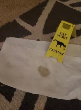 CatVomitSign猫狗呕吐物标识牌猫呕吐物地板湿滑警告标志提示牌
