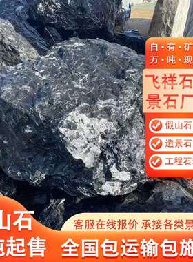 山石景石黑山石天园林造景黑石头水系泊岸水景石头人工湖石坪石草