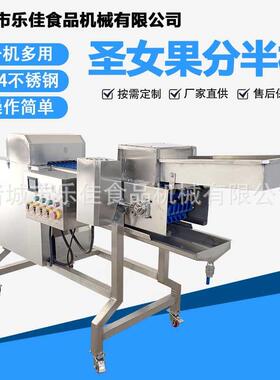 多功能果蔬分半机食品厂大型小番茄对半切设备速冻无花果劈半机