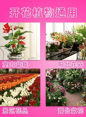 速效开花素植物通用型肥料叶面肥花卉营养液促花改善花苞延长花期