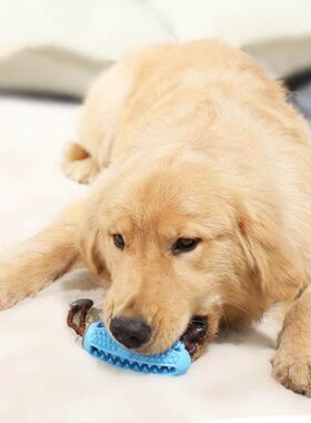 Pet Dog Toys Interactive Natural Rubber Ball Toy Funny Inter