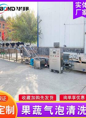 锈喷钢全自动果蔬气泡清菜洗机 芹菜香清不洗设备 淋式果/蔬清洗