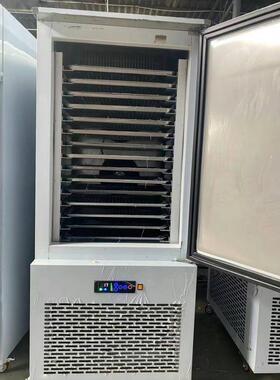 商用-40℃速冻柜 保鲜冰袋冰块速冻柜 无霜风冷速冻机器厂家