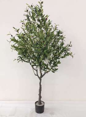 粗仿真植物超小盆栽软装设计造景室家居CQ0007内摆件杆密仿真橄榄
