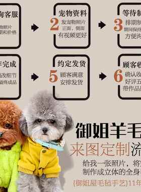 御姐羊毛毡彷真宠物定制纪念玩偶羊毛毡diy猫咪狗狗成品相框礼物