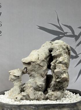 天然太湖石奇石盆景附石精品鱼缸造景石头观赏原石摆件