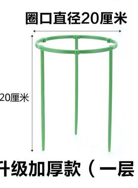 花架子火龙果太阳花月季绿萝花盆