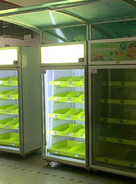 社区自提智能生鲜柜自助贩卖蔬菜肉生鲜售卖机小区无人自动售卖机