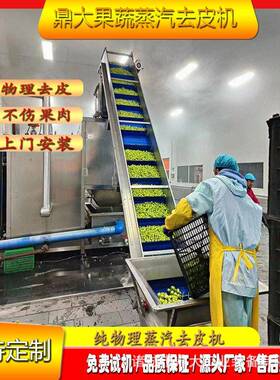 根茎果蔬去皮设备土豆黄精沙参批量加工食品级304不锈钢物理去皮