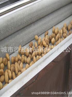 厂家供应毛辊清洗机 大姜红薯土豆毛辊去皮清洗机 毛刷去泥机